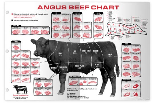 Angus Beef Cattle